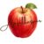 apfelkasper logo